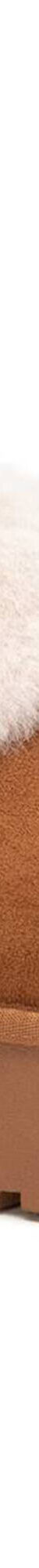 Boots fourrées à enfiler (caramel) Boots fourrées à enfiler (caramel)